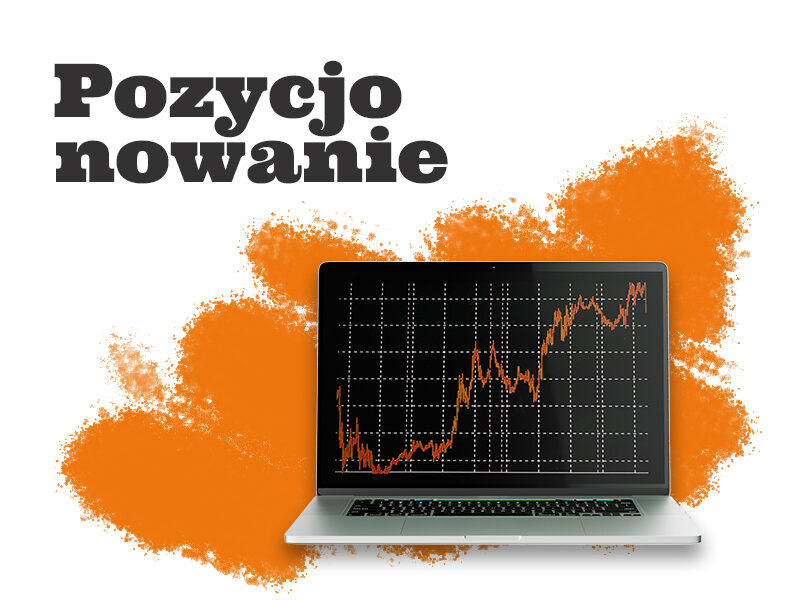 Pozycjonowanie strony internetowej w wyszukiwarce Google